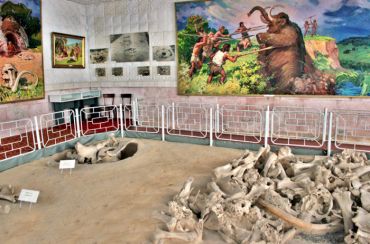 Археологический музей «Добраничевская стоянка»